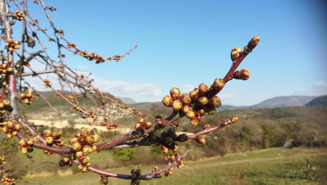 Pie Des Ayrolis Βίλα Eyroles Εξωτερικό φωτογραφία