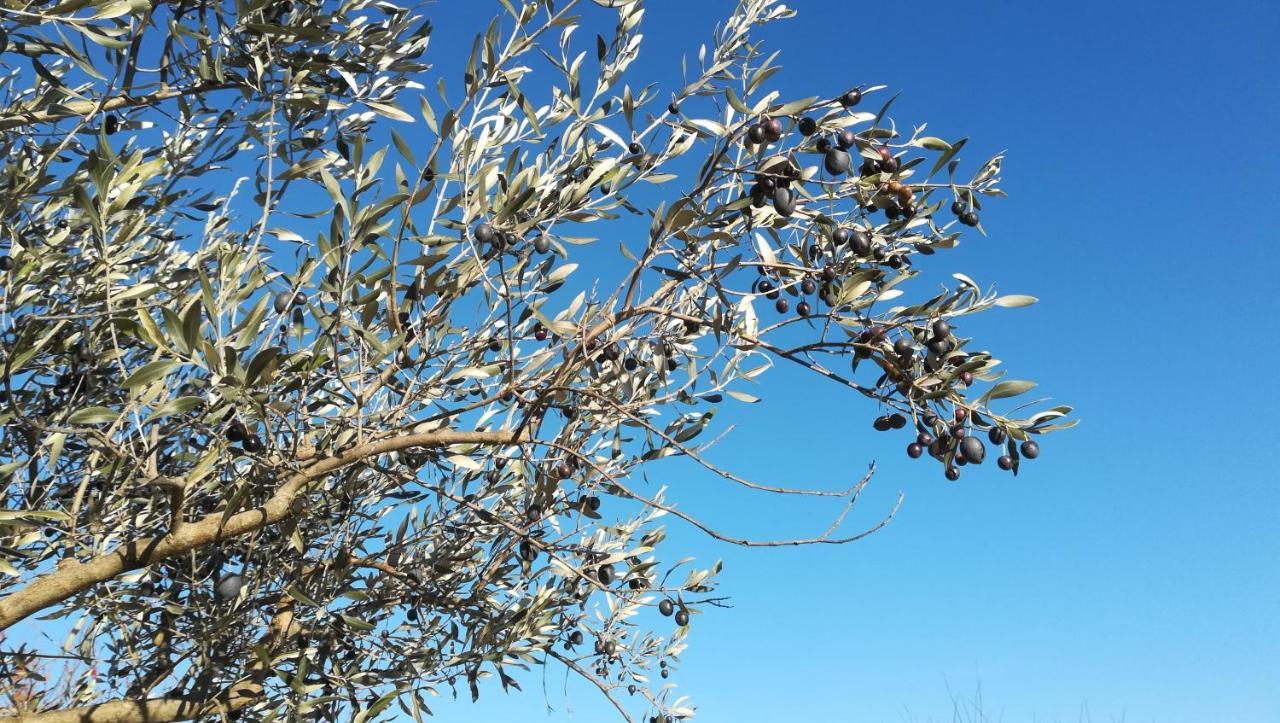 Pie Des Ayrolis Βίλα Eyroles Εξωτερικό φωτογραφία
